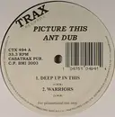 12inch Vinyl Single - Ant Dub - Picture This