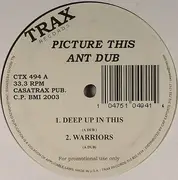 12inch Vinyl Single - Ant Dub - Picture This
