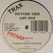 12inch Vinyl Single - Ant Dub - Picture This