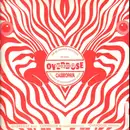 12inch Vinyl Single - Antaris In Cooperation With Casseopaya - The Re-Phased Solution EP - Promo