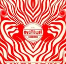 12'' - Antaris In Cooperation With Casseopaya - The Re-Phased Solution EP
