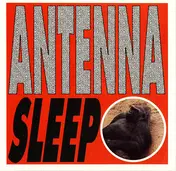 Antenna - Sleep