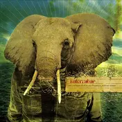 Anterrabae - And Our Heart Beat In Our Fingertips, Without Reason