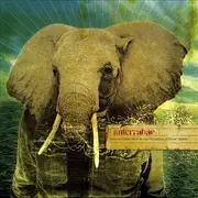 CD - Anterrabae - And Our Heart Beat In Our Fingertips, Without Reason