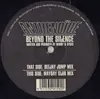 12inch Vinyl Single - Anthenoïde - Beyond The Silence