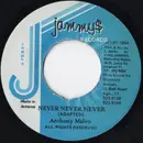 7inch Vinyl Single - Anthony Malvo - Never Never Never