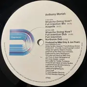 12inch Vinyl Single - Anthony Moriah - Whatcha Doing Now?
