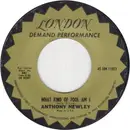 7inch Vinyl Single - Anthony Newley - What Kind Of Fool Am I / Gonna Build A Mountain