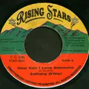 7inch Vinyl Single - Anthony O'Niel - How Can I Love Someone