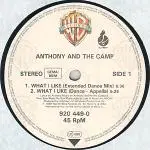 12'' - Anthony And The Camp - What I Like
