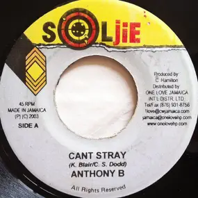 Anthony B. - Can't Stray