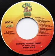 Anthony B / Flash - Don't Bust Your Guns Tonight / Not Because We Hada Fight