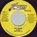 7inch Vinyl Single - Anthony B - Jail House
