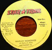 Anthony B - Marley Memories