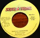 7inch Vinyl Single - Anthony B - Marley Memories