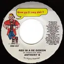 7inch Vinyl Single - Anthony B - Red In A De Gideon