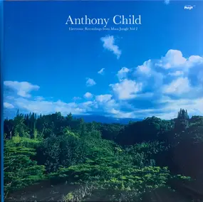 ANTHONY CHILD - Electronic Recordings from Maui Jungle, Vol. 2