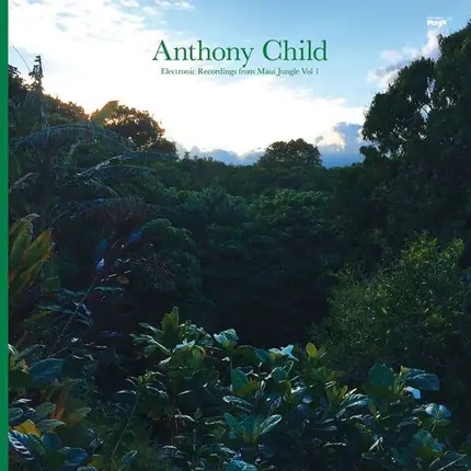 Anthony Child - Electronic Recordings..