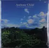 Double LP - Anthony Child - Electronic Recordings.. - .. FROM MAUI JUNGLE 2
