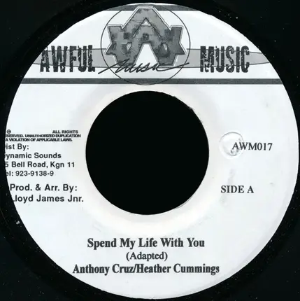Anthony Cruz & Heather Cummings - Spend My Life With You