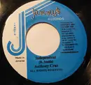 7inch Vinyl Single - Anthony Cruz - Independent