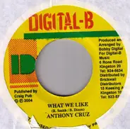 Anthony Cruz / Niki Berch - What We Like / Good By My Love