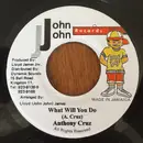 7inch Vinyl Single - Anthony Cruz / Tony Curtis - What Will You Do / Crabs In A Barrel