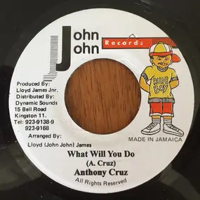 Anthony Cruz - What Will You Do / Crabs In A Barrel