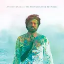 CD - Anthony D'Amato - The Shipwreck from the Shore