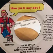 Anthony Red Rose , Mad Cobra - Pick It Up