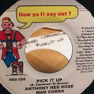 Anthony Red Rose , Mad Cobra - Pick It Up