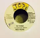 7inch Vinyl Single - Anthony Red Rose - In Thing
