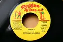 7inch Vinyl Single - Anthony Selassie / Donna V - Bingie I / Mark Of The Beast
