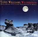 CD - Anthony Williams - Wilderness