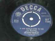 7'' - Anthony Newley - If She Should Come To You (La Montana)