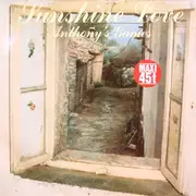 12inch Vinyl Single - Anthony's Games - Sunshine Love