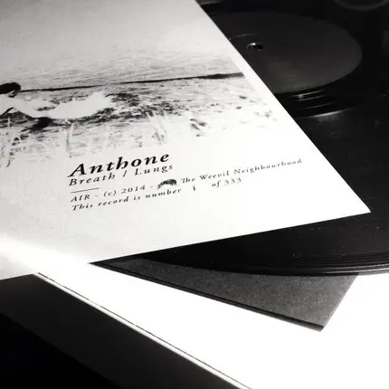 Anthone - Breath / Lungs