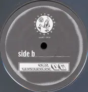 LP - Anti-Control - Pictures Of A World Falling Apart - Clear vinyl, Ltd Ed, Poster, Booklet