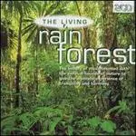 Anton Hughes - The Living Rain Forest