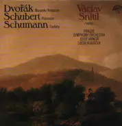 Dvořák / Schubert / Schumann - Mazurek / Romance / Polonaise / Fantasy