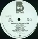 12'' - Antonio Rodriguez, Antonia Rodriguez - La Bamba / Sweet Love - Promo