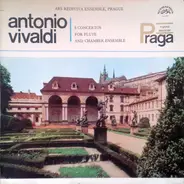 Antonio Vivaldi , Ars Rediviva Ensemble - 5 Concertos For Flute And Chamber Ensemble