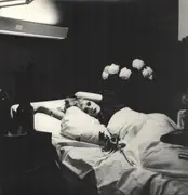 LP - Antony And The Johnsons - I Am A Bird Now