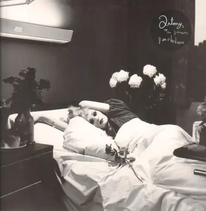 Antony And The Johnsons - I Am a Bird Now