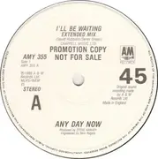 12inch Vinyl Single - Any Day Now - I'll Be Waiting