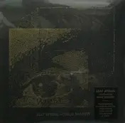 Asaf Avidan - Gold Shadow
