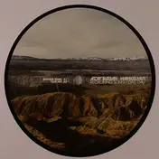 Asaf Avidan - Reckoning Song/One Day (Wankelmut RMX)