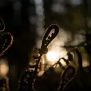 Double LP - Asc - Truth Be Told