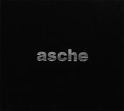 Asche - Distorted Disco