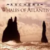 CD - Aschera - Whales Of Atlantis
